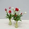 pink and white tulip bouquet